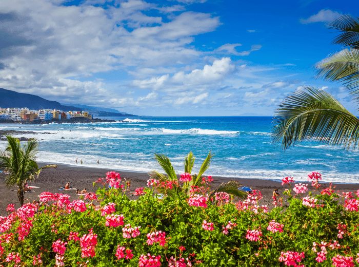 Adults Only Tenerife